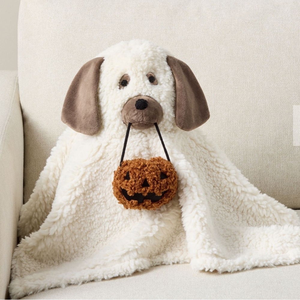 Last one Pottery Barn Doug The Dog Ghost Pillow New